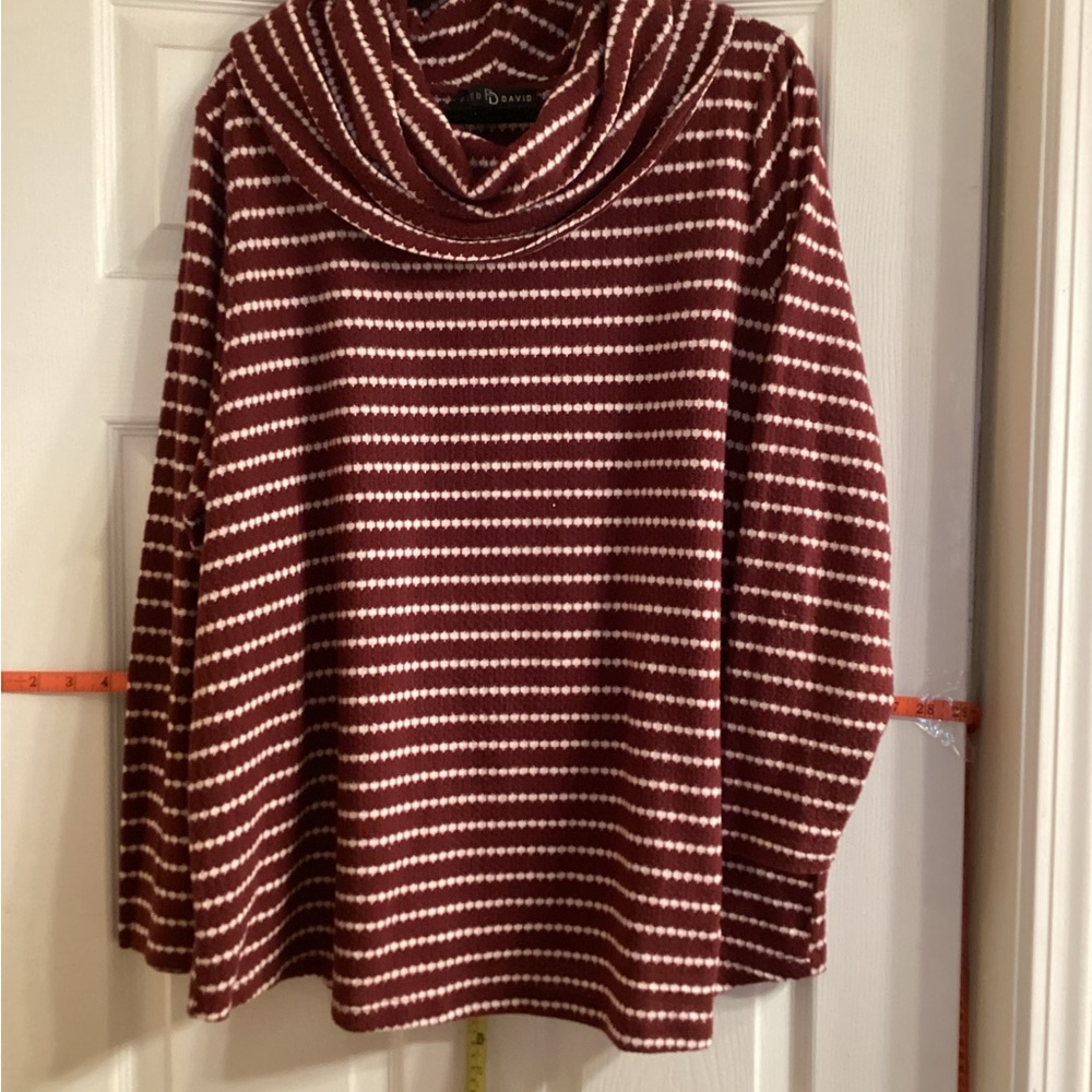 Fred David Burgundy and White Striped Cowl Neck Sweater